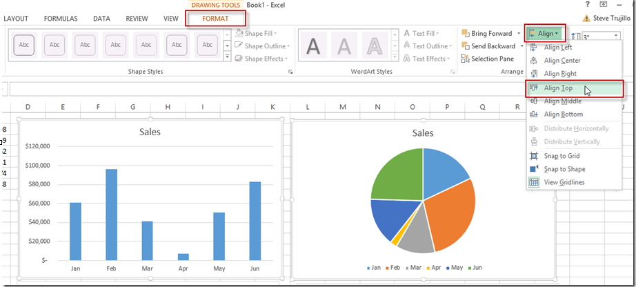 Embedded Chart In Excel Definition